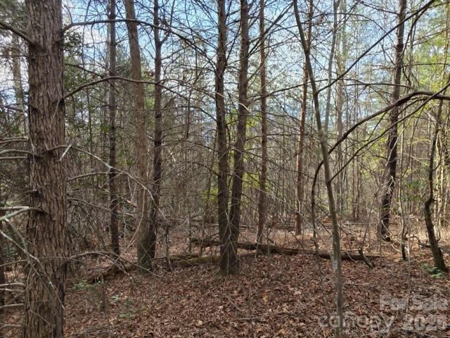 Lot 6 Kerlee Lane, Old Fort, NC 28762