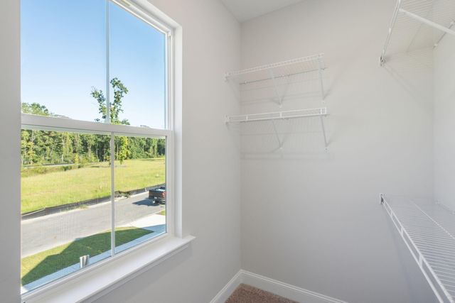 168 Claret Cup Way, Charleston, SC 29414