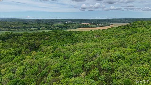 18217 Prickly Pear Court, Pacific, MO 63069