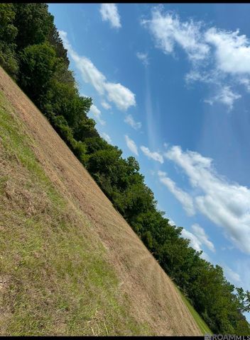 9674 La Hwy 955, Ethel, LA 70730