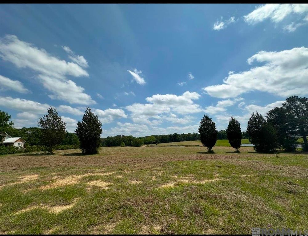 9674 La Hwy 955, Ethel, LA 70730