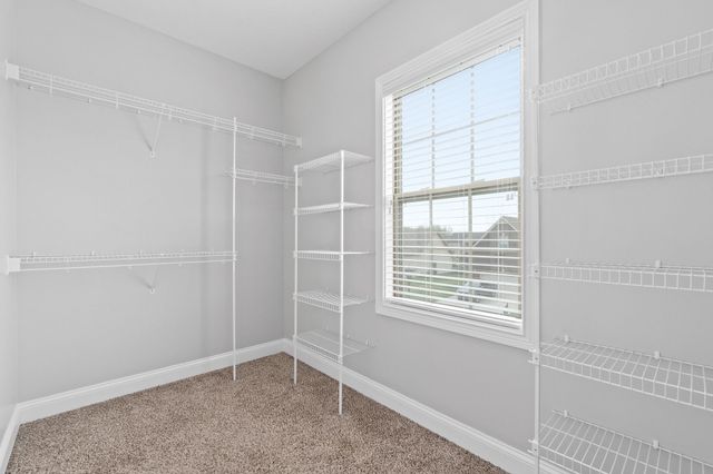 1245 Fallon Dr, Clarksville, TN 37043