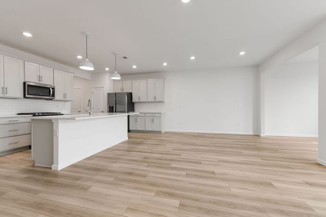 672 Switchgrass Way 58005, Bolingbrook, IL 60490