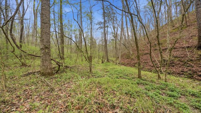 174 Turner Lane, NE, Cleveland, TN 37323