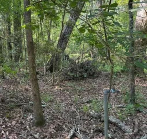 LOT 11 Cristal Lane, Roman Forest, TX 77357