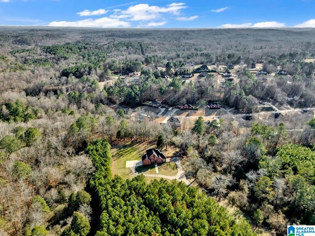 1886 HIGHWAY 160, Warrior, AL 35180