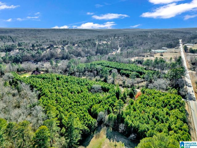 1886 HIGHWAY 160, Warrior, AL 35180