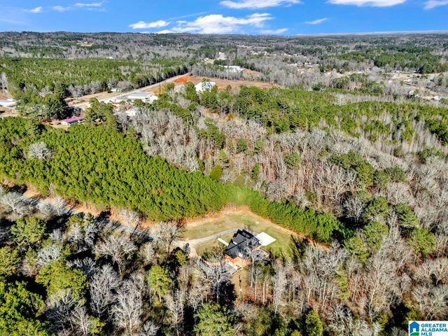 1886 HIGHWAY 160, Warrior, AL 35180