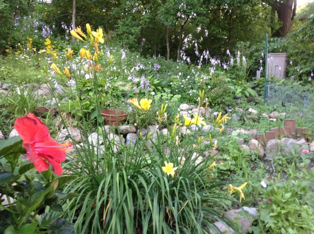 5833 Creek Valley Road, Edina, MN 55439