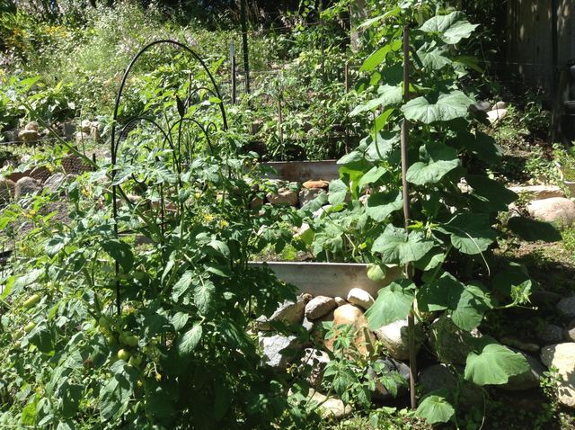 5833 Creek Valley Road, Edina, MN 55439