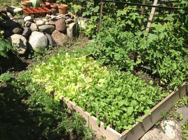 5833 Creek Valley Road, Edina, MN 55439