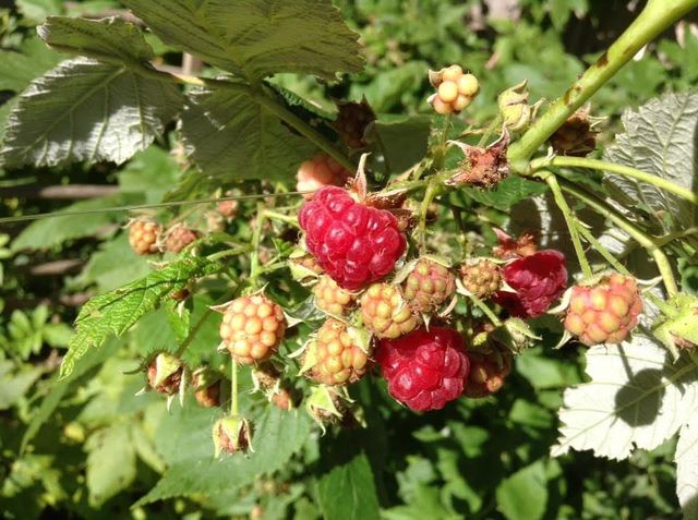 5833 Creek Valley Road, Edina, MN 55439