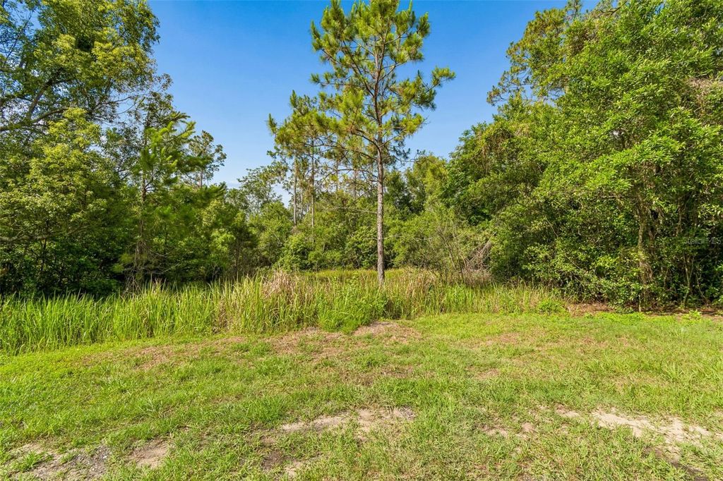 00 HAMRICH, Dade City, FL 33525