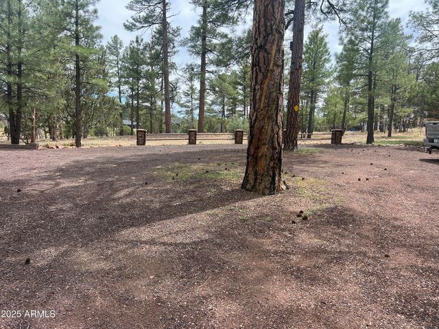 800 S 24TH Drive, Show Low, AZ 85901