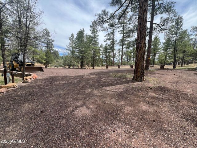 800 S 24TH Drive, Show Low, AZ 85901