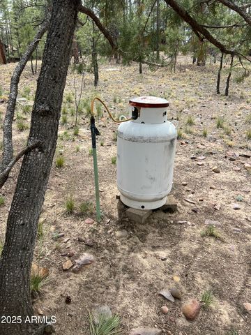 800 S 24TH Drive, Show Low, AZ 85901