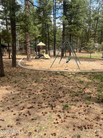 800 S 24TH Drive, Show Low, AZ 85901