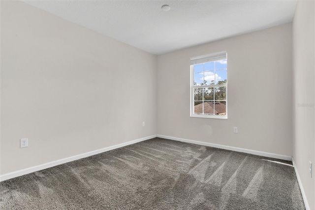 2854 BLACK BIRCH DRIVE, Ocoee, FL 34761