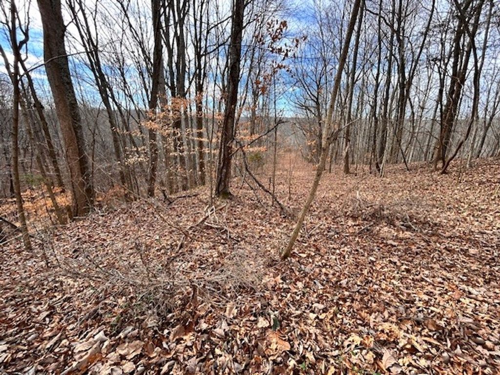 61 Old Hickory Place, Smithville, TN 37166