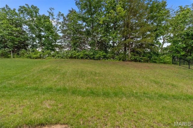 534 Leather Reins Drive, Wentzville, MO 63385
