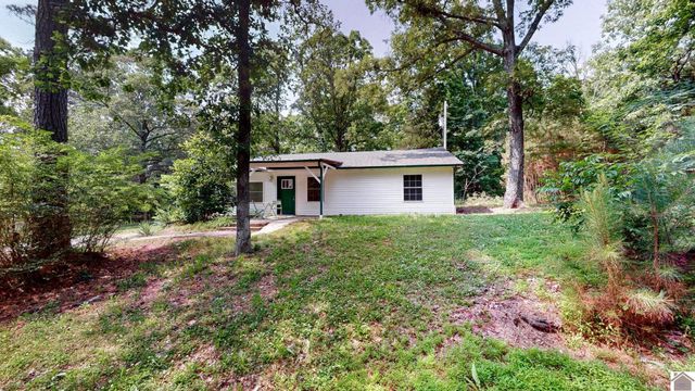 1410 Kline Trail, New Concord, KY 42076