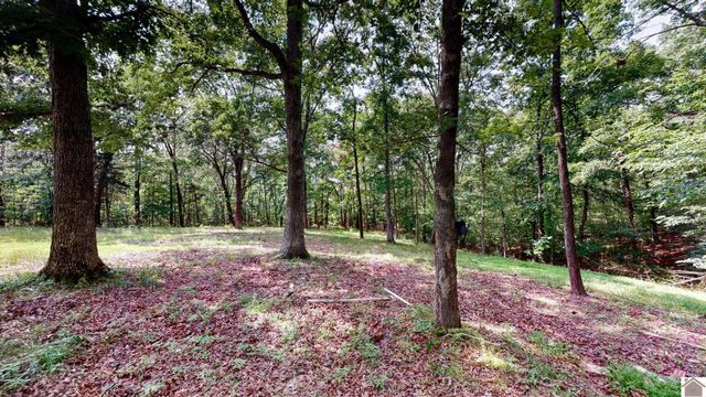 1410 Kline Trail, New Concord, KY 42076