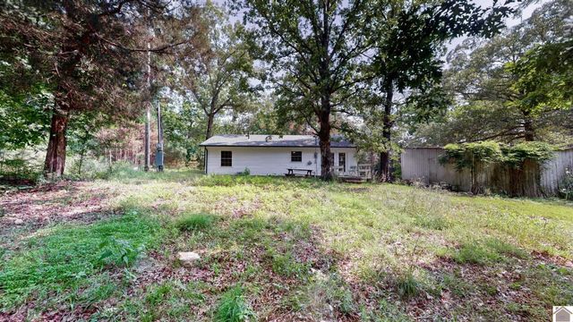 1410 Kline Trail, New Concord, KY 42076