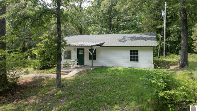1410 Kline Trail, New Concord, KY 42076