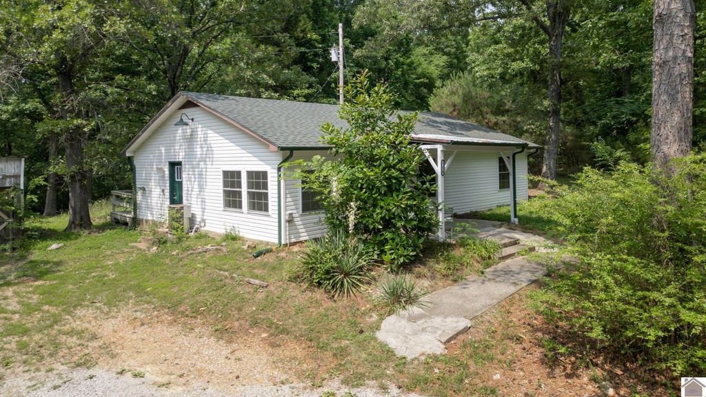 1410 Kline Trail, New Concord, KY 42076