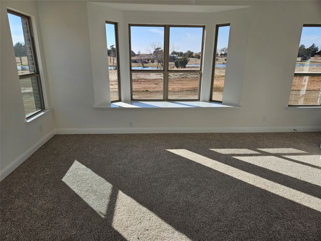 385 Willie's Court, Whitesboro, TX 76273