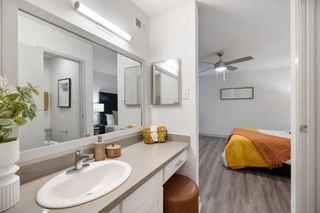 2800 S Ashford Road 2224, Houston, TX 77082