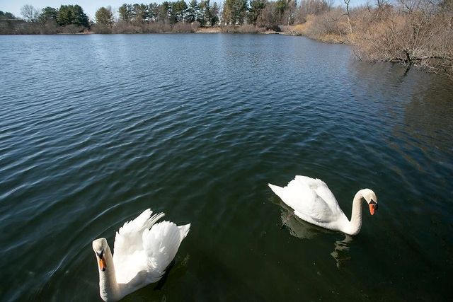 1 Leland Point Drive, Portsmouth, RI 02871