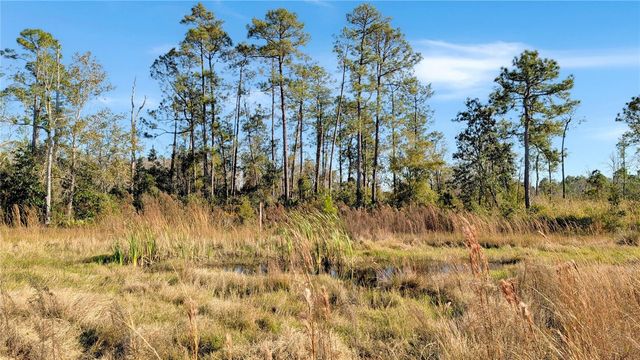 23545 BISHOP AVENUE, Christmas, FL 32709