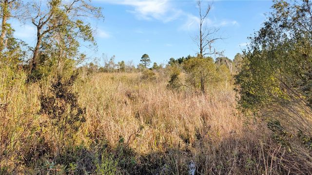 23545 BISHOP AVENUE, Christmas, FL 32709