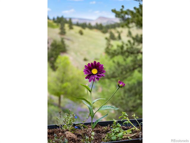 7267 Olde Stage Road, Boulder, CO 80302