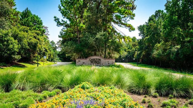 10 Maroon Creek Court, The Woodlands, TX 77389