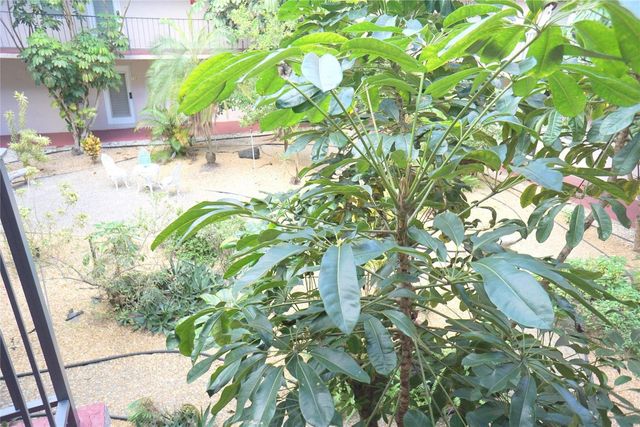 2821 Somerset Drive 203, Lauderdale Lakes, FL 33311