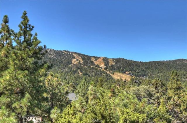 43659 Wolf Road, Big Bear Lake, CA 92315