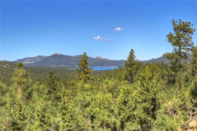 43659 Wolf Road, Big Bear Lake, CA 92315