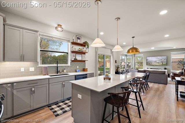 20251 Bonica Drive, Clinton Charter Township, MI 48038