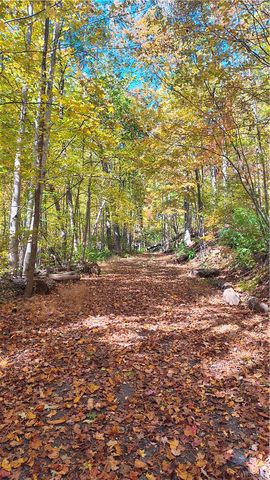 146 Glassy Falls Trail, Travelers Rest, SC 29690