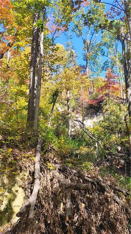 146 Glassy Falls Trail, Travelers Rest, SC 29690