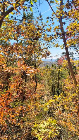 146 Glassy Falls Trail, Travelers Rest, SC 29690