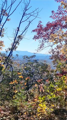 146 Glassy Falls Trail, Travelers Rest, SC 29690