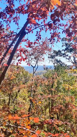 146 Glassy Falls Trail, Travelers Rest, SC 29690