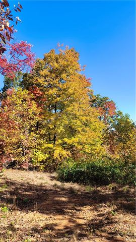146 Glassy Falls Trail, Travelers Rest, SC 29690