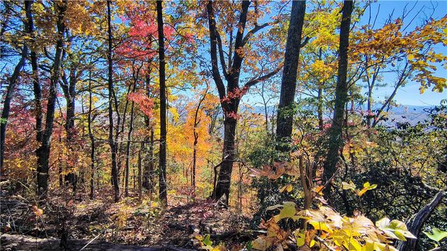 146 Glassy Falls Trail, Travelers Rest, SC 29690