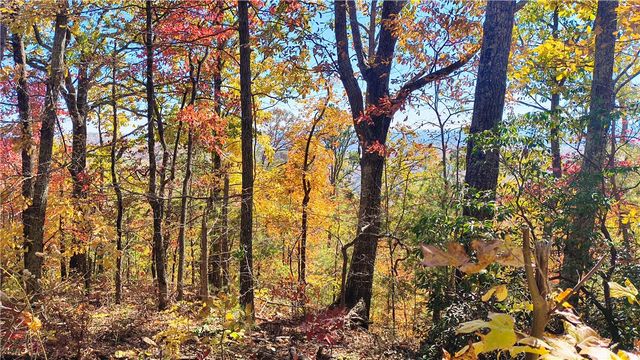 146 Glassy Falls Trail, Travelers Rest, SC 29690