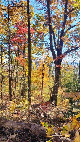 146 Glassy Falls Trail, Travelers Rest, SC 29690