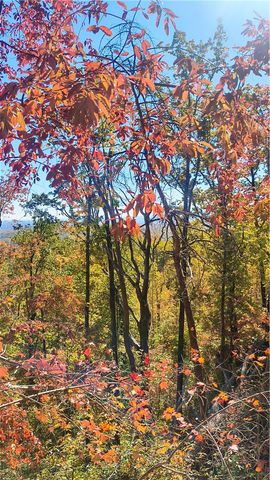 146 Glassy Falls Trail, Travelers Rest, SC 29690